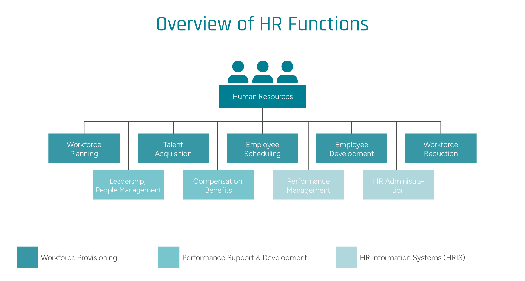 An infographic illustrating the responsibilities of human resources management