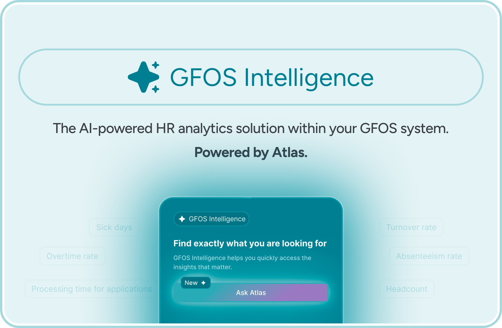 GFOS Intelligence is our integrated HR analytics software.